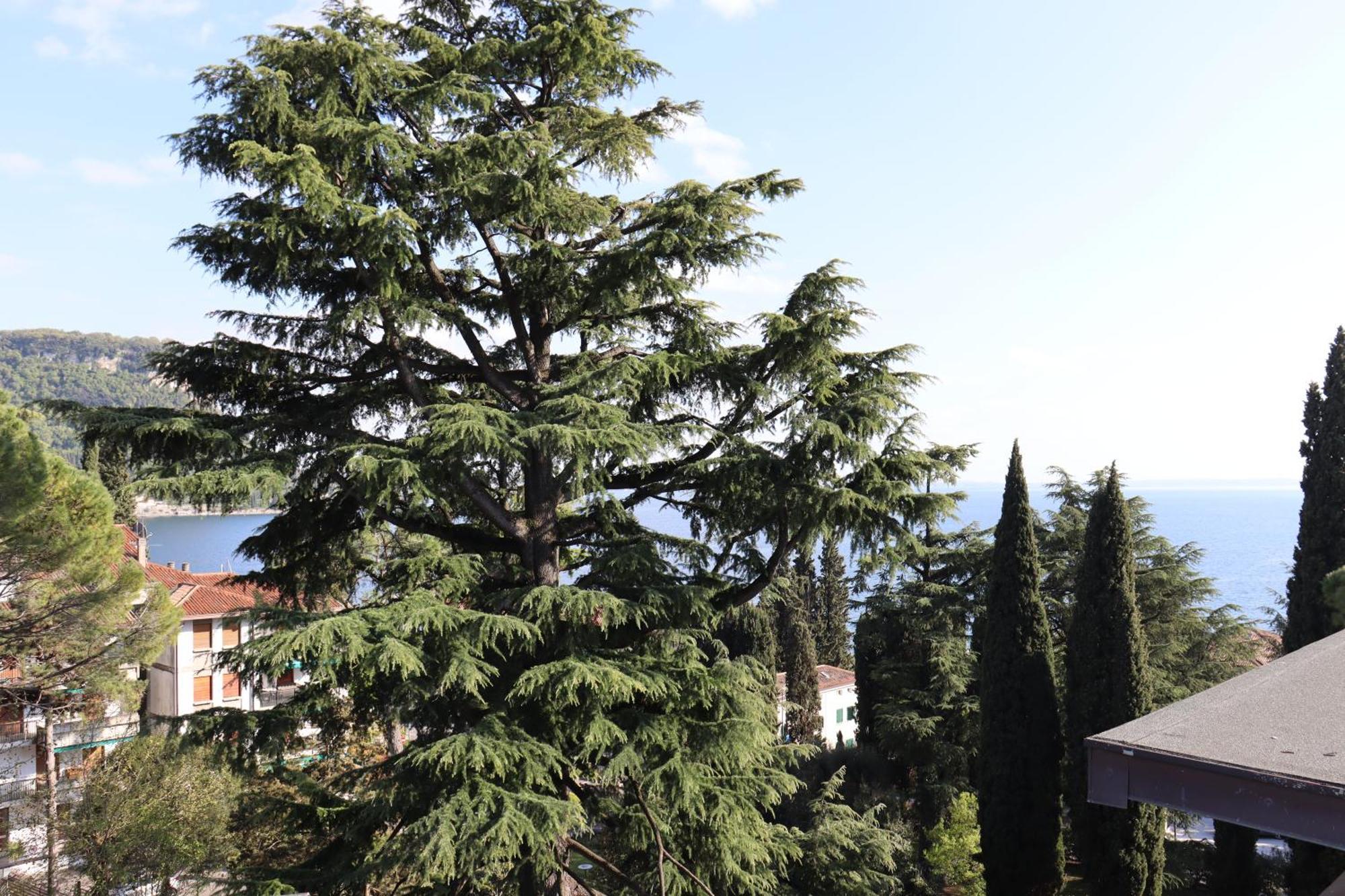 Monika Holiday 315 Magic Lake Garda  Zewnętrze zdjęcie